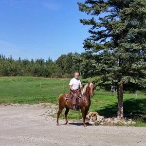 Meet your Posher, Archie